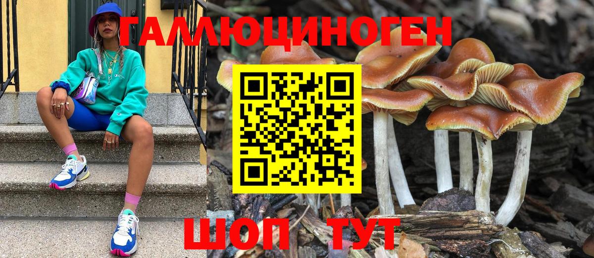 Галлюциногенные грибы ЛСД Россия