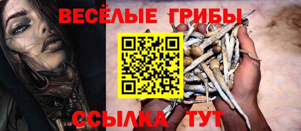 Псилоцибиновые грибы Cubensis  Вход с VPN  Россия 